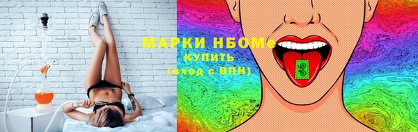 шишки Белокуриха